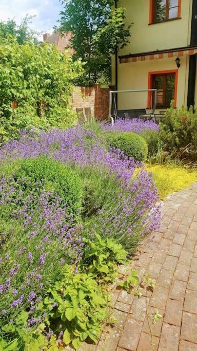 Constantia By Grape Hotel Wroclaw Exterior photo